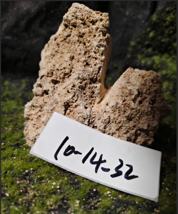 10-14 (7)