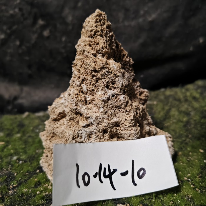10-14 (14)