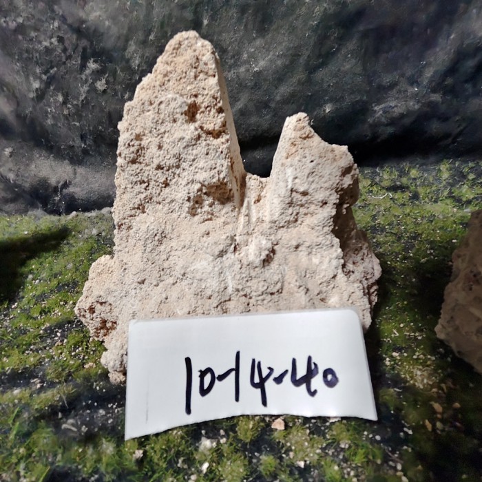 10-14 (24)