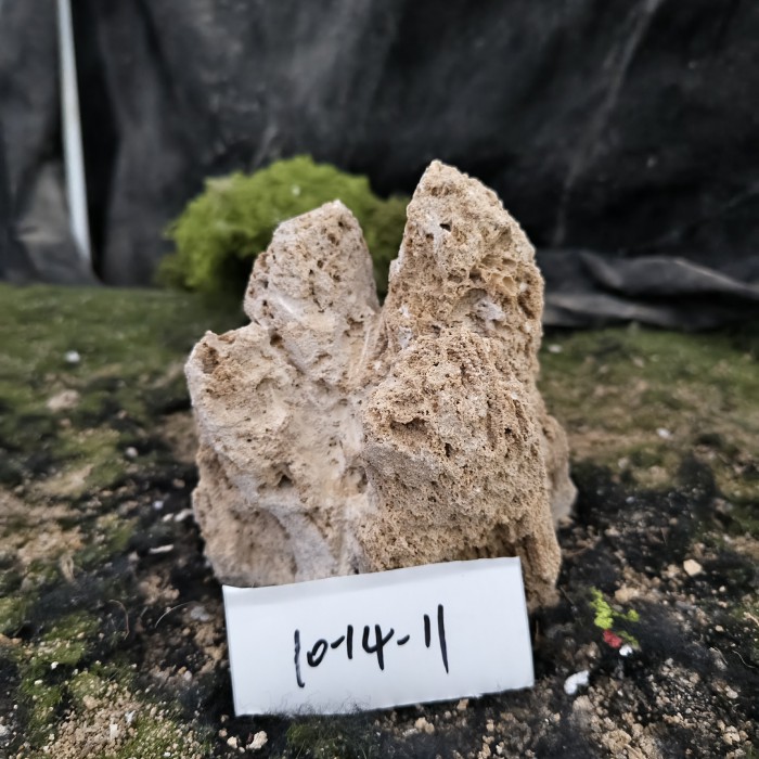 10-14 (5)