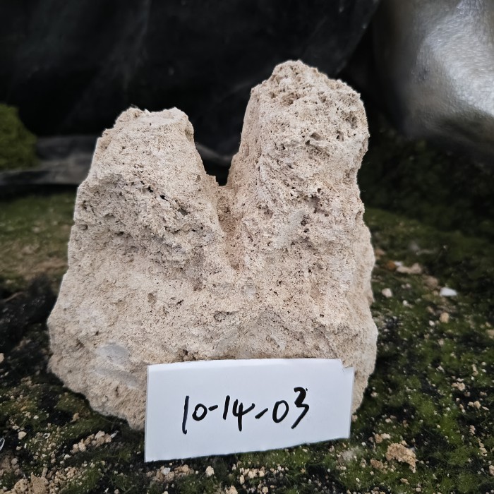 10-14 (6)