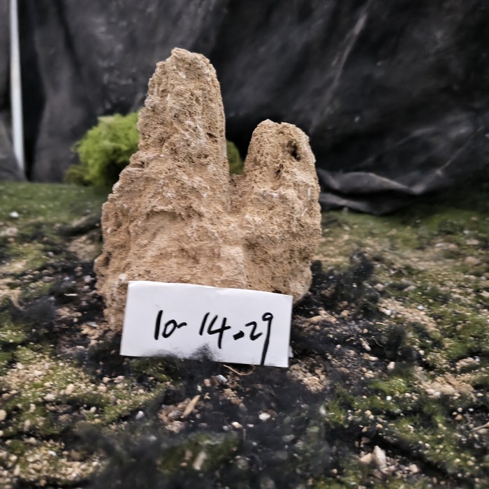 10-14 (8)
