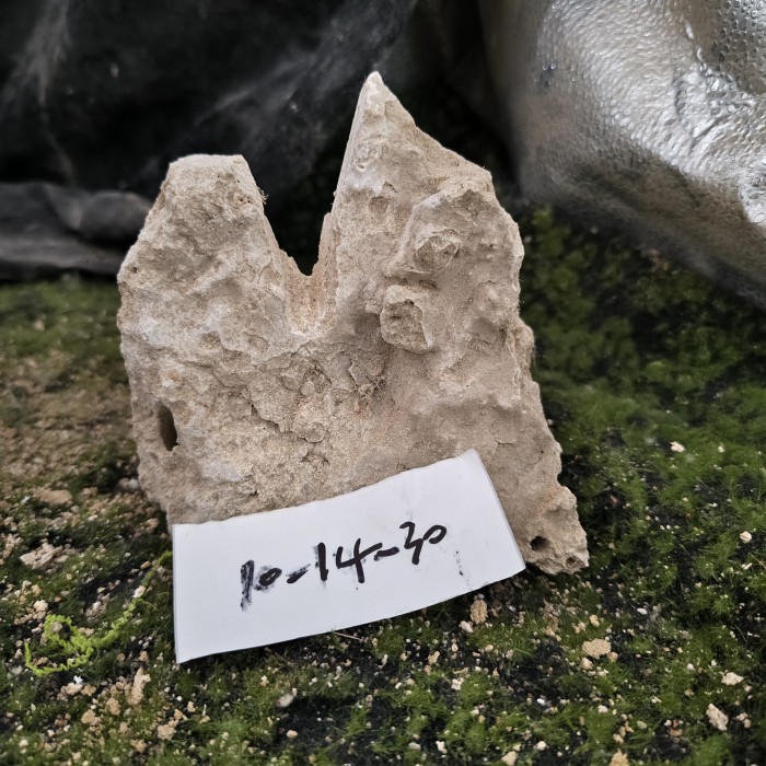 10-14 (9)