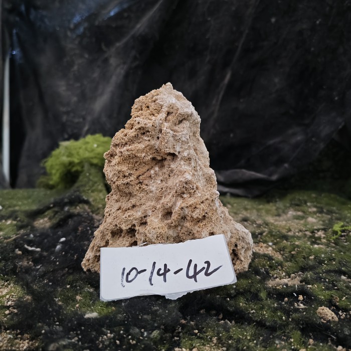 10-14 (16)