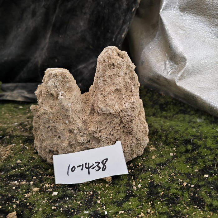 10-14 (22)