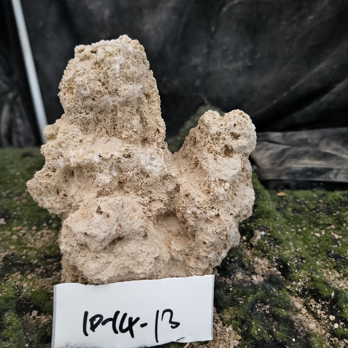 10-14 (4)