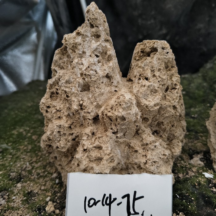 10-14 (12)