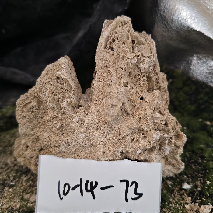 10-14 (15)