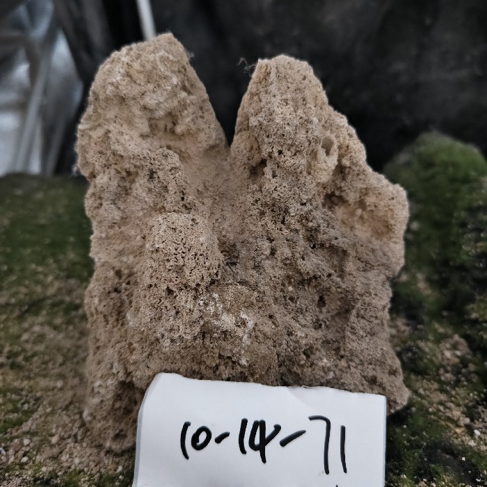 10-14 (20)