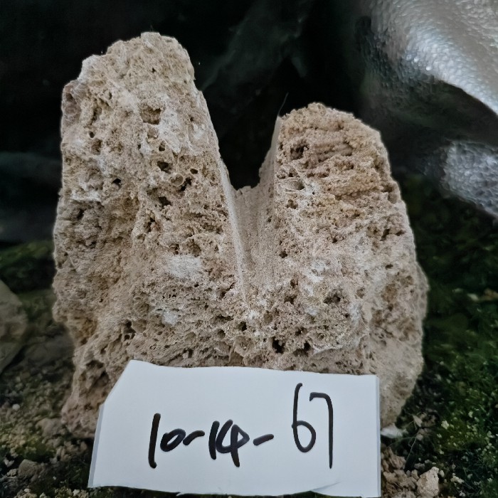 10-14 (23)