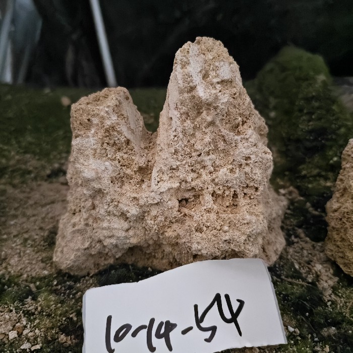 10-14 (29)