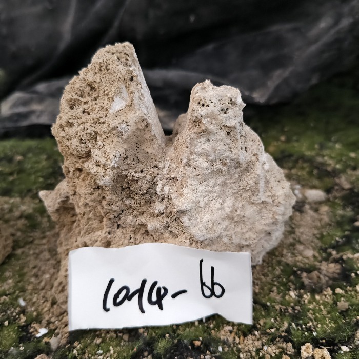 10-14 (31)