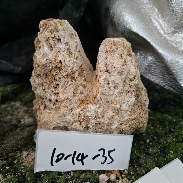 10-14 (37)