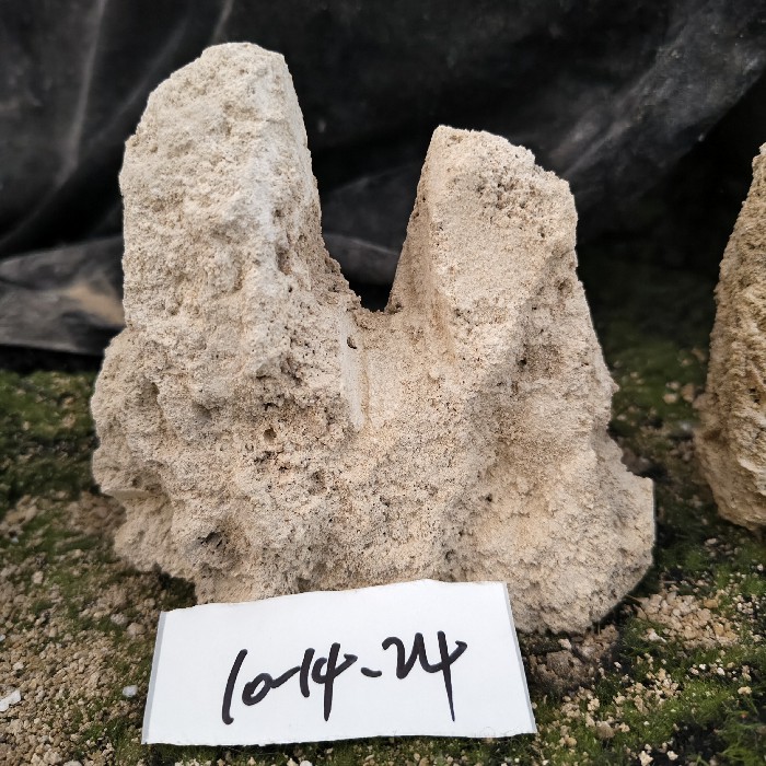 10-14 (41)