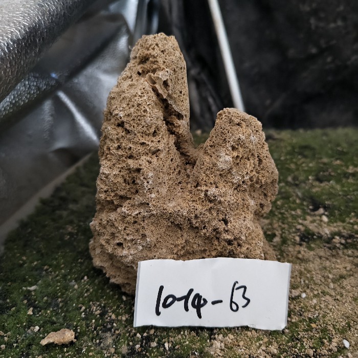 10-14 (47)