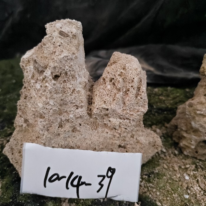 10-14 (49)